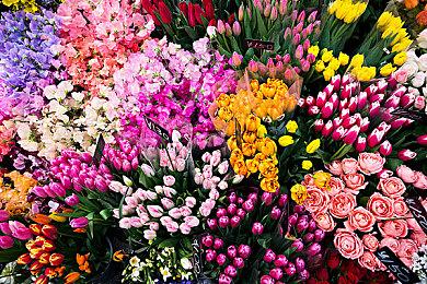 情怀犹在？190万玩家还在玩PS3