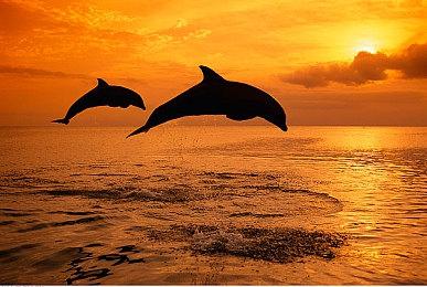 桌面挂机游戏《悠哉钓鱼》将于6.17正式发售！