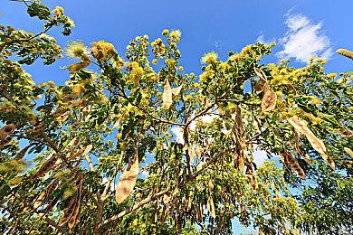 CDPR招聘编剧暗示《巫师》或《2077》改编电影