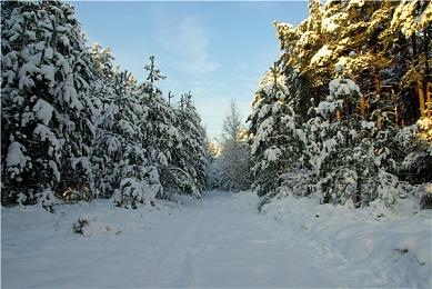 《崩坏：星穹铁道》走近星穹 「星期日：今天怎么才周三！」